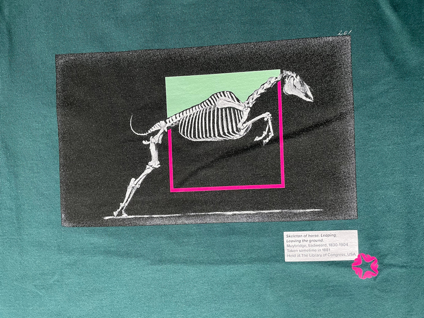 Muybridge's Skeleton Horse Tee
