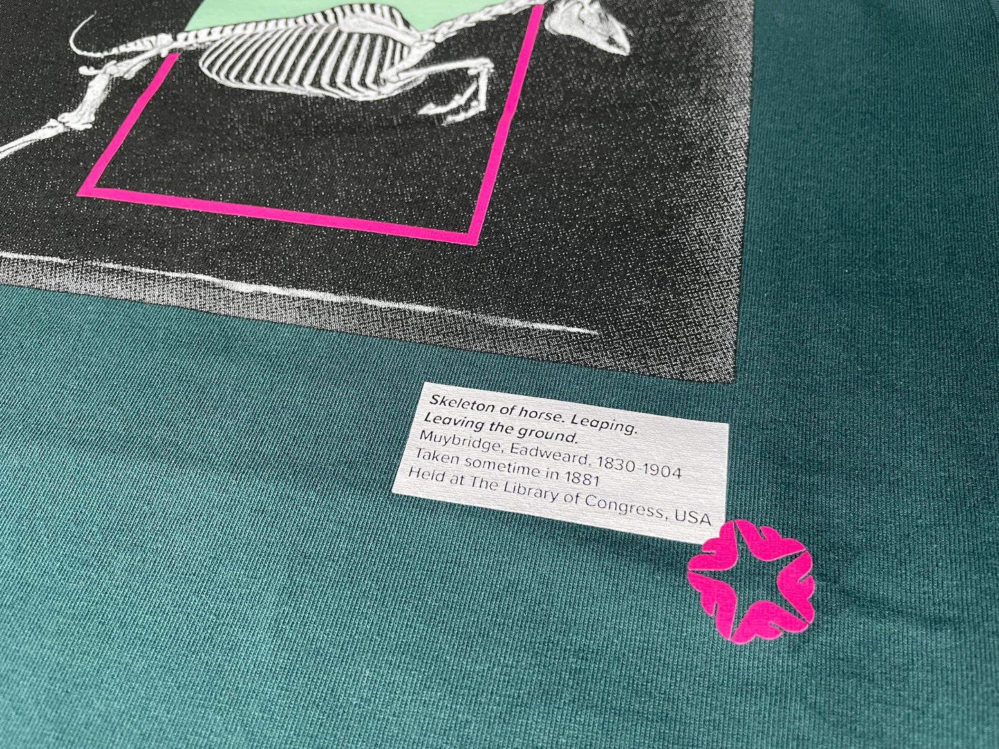 Muybridge's Skeleton Horse Tee
